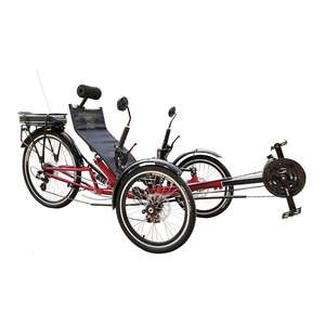 Nouveau tricycle industriel DIY avec support OEM personnalisé et garantie d'un an - Product Image 3