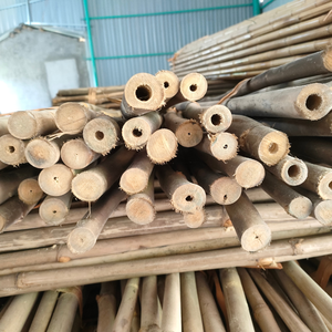 Natural Bamboo <b>Stakes</b> <b>for</b> <b>Gardening</b> Landscaping Farm Use-High Quality Bamboo Raw Materials Customizable Length Diameter Vietnam - Product Image 3