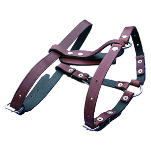 Correa para Perro 202/A - Product Image 1