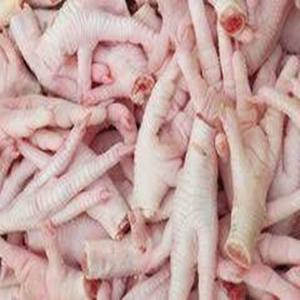 Pattes de poulet congelées en bloc en boîte et réduction des prix de gros pour l'exportation - Product Image 6