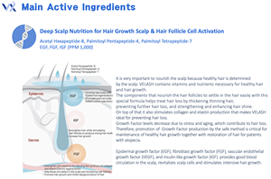 เซรั่มสำหรับหนังศีรษะจากเกาหลีเสริมสร้างความแข็งแรงให้กับเส้นผมทำให้หนังศีรษะลึกซ่อมแซมหนังศีรษะป้องกันผมร่วงบำรุงรูขุมขน - Product Image 4