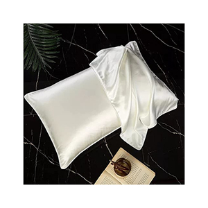 Funda de almohada de seda de morera Natural 100% con infusión de iones plateados con soporte de cremallera Añadir logotipo Funda de almohada para dormir - Product Image 2