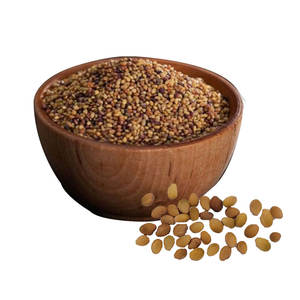 Berseem Clover | Textura suave para consumo animal - Product Image 6