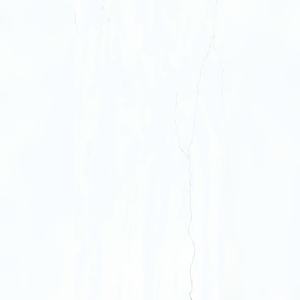 Panneaux en céramique vitrifiée intemporels et radieux 600x1200mm, un attrait durable pour les restaurations historiques et les constructions neuves - Product Image 2