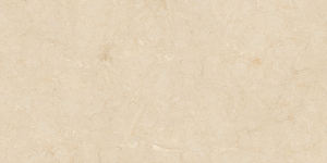 Todo el tiempo disponible Tablón de madera de diseño regular gres porcelanto para lugares públicos. - Product Image 2