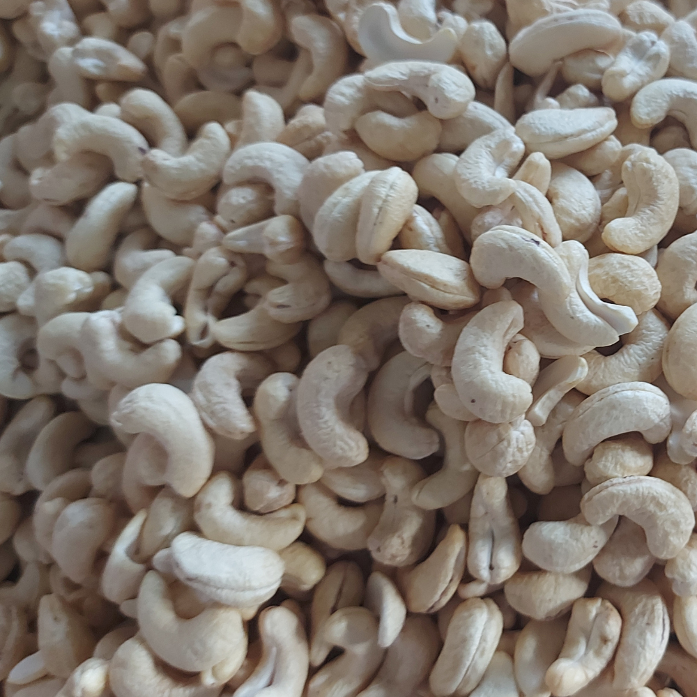 Cashewnüsse Zum Verkauf Cashewnüsse W320 Rohe Cashewnüsse Preis In Afrika Fabrik preis WhatsApp 84931697868