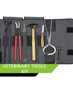 Kit D'outils Pour Maréchal-ferrant - Coupe-sabot, Extracteur, Pince, étui (neuf, UAE)