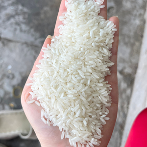 Suministro a granel de arroz blanco de grano largo 5% - 100% roto | Directo de fábrica con embalaje personalizable | Calidad excepcional - Product Image 6