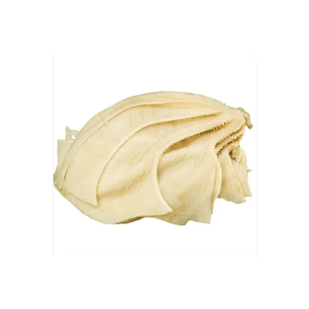 Hot Sale Dry Salted Beef Omasum/Beef Salted & Dried Frozen High Quality Omasum