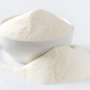 Leche de Coco en Polvo Instantánea, Suministro a Granel, Crema de Coco en Polvo Premium, Calidad de Exportación - Product Image 1