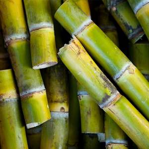 Caña de azúcar fresca Vietnam Venta al por mayor Exportación a granel Proveedor de caña de azúcar de alta calidad 2025 - Product Image 2