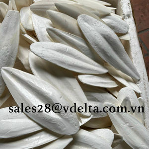 กระดูกปลาหมึก กระดูกปลาหมึกแห้ง - คุณภาพสูง - ราคาดีที่สุด - เวียดนาม - เอธาน - Product Image 2