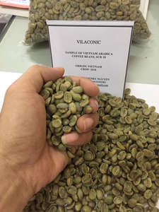 Meilleur vendeur Grains de café vert arabica et robusta du Vietnam de qualité supérieure Produit de haute qualité - Product Image 5