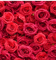 Décoration Murale Florale en Soie Artificielle en Forme de Cœur Rouge 3D pour Mariage, Demande en Mariage, Événements et Fêtes – Écologique et Romantique – Vente en Gros