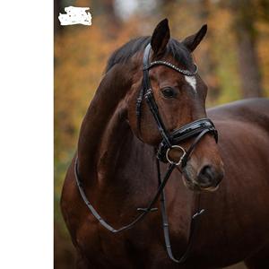 Brida snaffle - Product Image 4