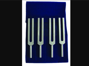 Diapasones de los Cinco Elementos de Alta Calidad Fabricados en Marte / Diapasones de los Cinco Elementos.. - Product Image 5