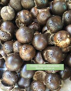 Maceta colgante de bambú de alta calidad, carcasa de coco, planta de cáscara de coco, en Vietnam - Product Image 2