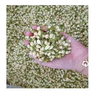 Fourniture de thé de fleurs de jasmin séchées pures, de nouveaux bourgeons de jasmin entiers parfumés de bonne qualité à partir de 99 données d'or au Vietnam - Product Image 3