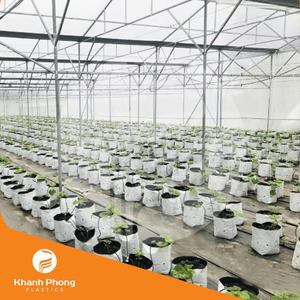 <b>Greenhouse</b> Film <b>For</b> Seedling Nursery Applications Providing Soft <b>Light</b> Diffusion And Stable Humidity Temperature - Product Image 5
