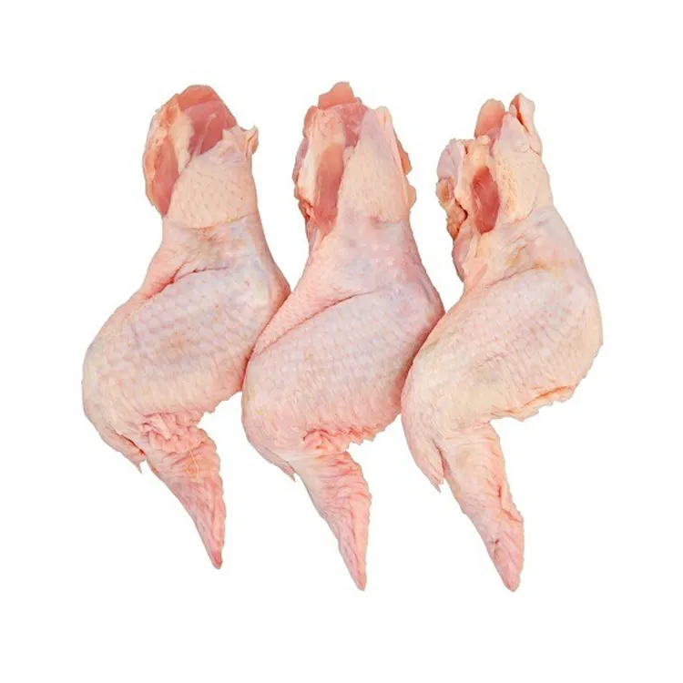 Asas de frango congeladas de 3 juntas para frango fresco de alta qualidade por atacado Asas de frango congeladas grandes de 3 juntas para venda congeladas