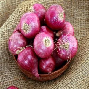 Best Quality <b>Red</b> Yellow White Fresh Onions Grade a Non-Peeled Round Shape 99% Mature 5.5cm Thailand Wholesale Price Per Ton - Product Image 1