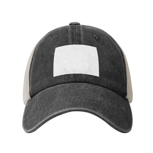 Gorra de Camionero de Alta Calidad con Logotipo Personalizado, Entrega Rápida, Gorras de Béisbol Premium de Malla de Algodón a un Precio Razonable - Product Image 1