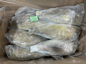 Pescado Emperador Entero Congelado Premium de Vietnam, IQF, Mariscos envasados al Vacío, Venta al por Mayor a Granel, Proveedor de Alta Calidad - Product Image 6