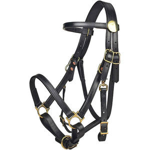Wholesale <b>Horse</b> Leather Bridle with Reins English Western Durable Comfortable Riding Training Bridle Bulk Factory - Product Image 1