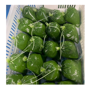 Hojas de mandioca picadas congeladas de alta calidad, hojas de mandioca picadas congeladas de Vietnam para sopas, guisos, cocina tradicional y platos - Product Image 6