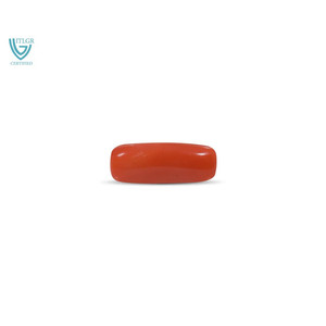 Coral Rojo Pulido de 8.29 Quilates, Gema Blanca de 8 mm de Altura - Product Image 1
