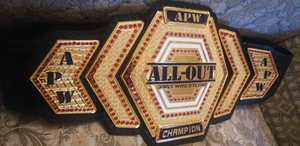 Cinturones de campeonato Trofeos Medallas y premios el símbolo definitivo de Victoria y excelencia Cinturones de Campeonato - Product Image 5