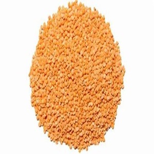 Lentilles rouges entières certifiées disponibles à la vente au prix de la ferme - Product Image 4