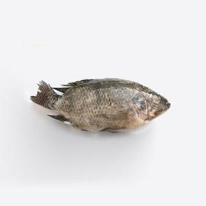 Mullet Gris Entero, Eviscerado, Orgánico, Premium, Congelado, de EE. UU. - Product Image 1