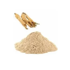 leading Exporter of Wholesale Quantity Supply Wholesale american ginseng extract Powder at Reliable Market P