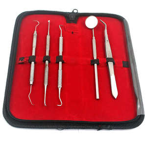 Kit de Exploración Dental Básico de Alta Calidad, Bandeja de Acero Inoxidable para Exploración Periodontal Oral, para Limpieza y Obturación Dental - Product Image 3