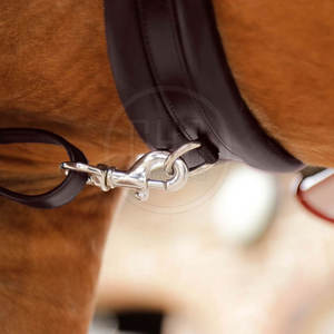 Precio razonable Material personalizado Coraza de equitación cómoda Coraza de equitación hecha en Pakistán - Product Image 4