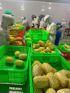 Ananas en conserve de haute qualité au meilleur prix, en sirop léger - 3 kg / Hazel par Viet Delta, durée de conservation de 3 ans, prêt à consommer - Product Image 4