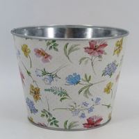Maceta Ligera de Hierro Esmaltado con Diseño Impreso, Decorativa, para Balcón, Jardín, Interior, Exterior, Ecológica, Colgante, para Uso Doméstico