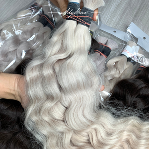 Meilleures ventes Perruque très demandée MOQ Premium Cheveux humains vietnamiens 100% bruts vierges de qualité supérieure, couleur argent, prix de gros direct usine - Product Image 2