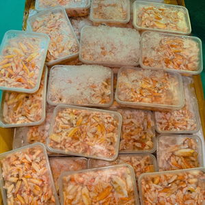 CARNE DE CANGREJO VIETNAMÉS DE ALTA CALIDAD LISTA PARA COCINAR PARA EL MERCADO GLOBAL - Product Image 1