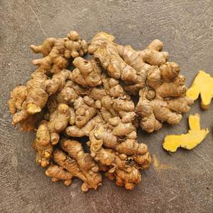 Jengibre fresco de primera calidad combinado con fuente de jengibre y polvo perfecto para té y remedios - Product Image 3