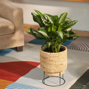 Pot de plante en jacinthe d'eau fabriqué à la main avec support en métal jardinière de fleurs tissées naturelles pour la décoration intérieure et extérieure - Product Image 2