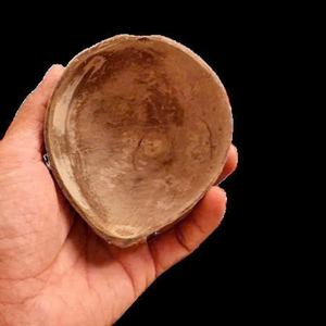 Bol de service en coquille de noix de coco naturelle en gros auprès d'un fournisseur vietnamien fiable - Product Image 4