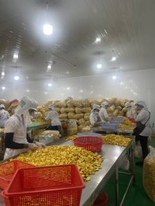 Exportateur de fruits secs tropicaux/fruits du jacquier séchés/fruits du jacquier du Vietnam avec le meilleur prix bon marché-Caryln 0084935825297 - Product Image 3