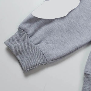 Streetwear en éponge française de haute qualité en coton épais grande taille impression bouffante sweats à capuche thermiques pour hommes Streetwear - Product Image 5