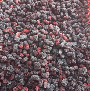 Moras Congeladas IQF Premium | Moras Enteras Naturales para Jugos y Procesamiento de Alimentos |   Proveedor de Vietnam - Product Image 1