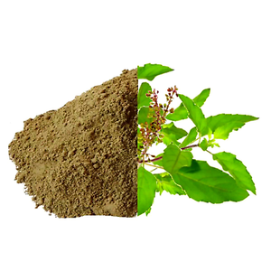 Polvo de extracto de albahaca sagrada orgánica de alta calidad de la mejor marca, especias de hoja de Tulsi de hojas de albahaca sagrada - Product Image 2