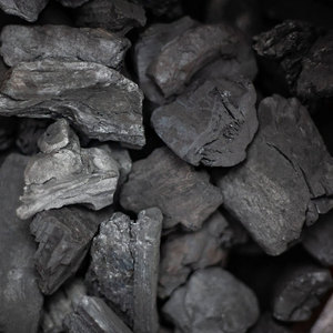 ถ่านบาบีคิวแบบสำเร็จรูป: ผู้ค้าส่งคุณภาพสูงและผู้จัดจำหน่ายจำนวนมากสำหรับการย่างที่ต้องการ - Product Image 3