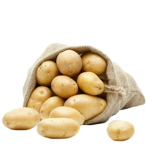 תפוחי אדמה טרומיים 250 גרם ללא GMO בשקיות רשת למכירה/קנה תפוחי אדמה בריאים טריים 20 ק""ג מוכן ייצוא מחיר סיטונאי