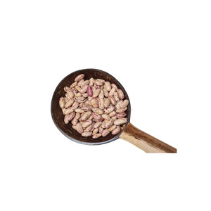 Frijoles enteros en stock para pedidos de gran volumen y envío - Product Image 6